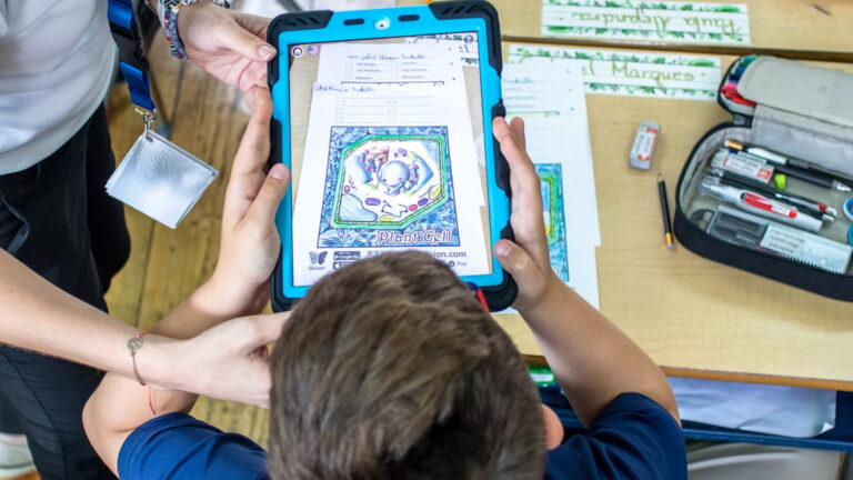 5 Educación para el Talento